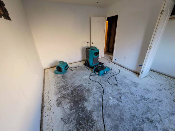 Best Water damage restoration near me  in Westbrook Center, CT