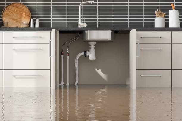 Best Commercial water damage restoration  in Westbrook Center, CT